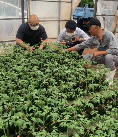 日本全国から集められる食材へのこだわり